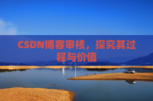 CSDN博客审核，探究其过程与价值